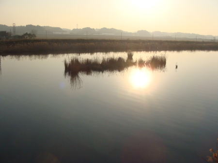 恋瀬川の夕暮れ
