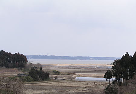 霞ヶ浦冬景色