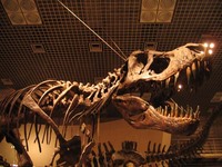 サイエンスコミュニケータへの第一歩？