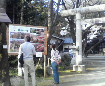 桜川磯辺稲村神社の観光客