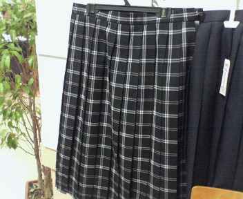 岩瀬東中学校の女子の夏制服です。