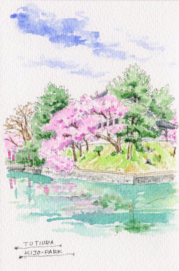 亀城公園のお堀と桜