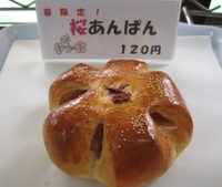 春限定♪桜あんぱん　埼玉県蕨市中央のパン屋