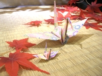 今日もせっせと折鶴作り