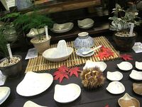 山野草・笠間焼陶器入荷♪
