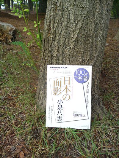 ‎また19世紀後期にまつわる本を買ってしまった‬…④『小泉八雲「日本の面影」』