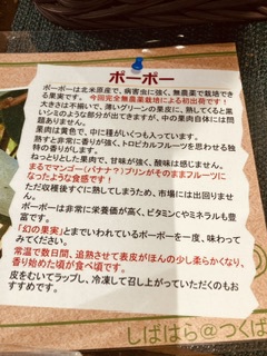 ポーポーってなんだよ❓