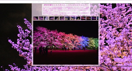 千本桜ホームページ完成！研究学園の桜の名所満載！