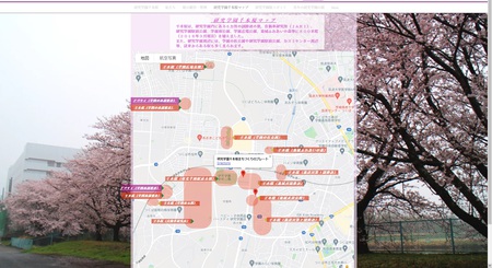 研究学園千本桜のホームページに２０２１年の桜を追加しました！