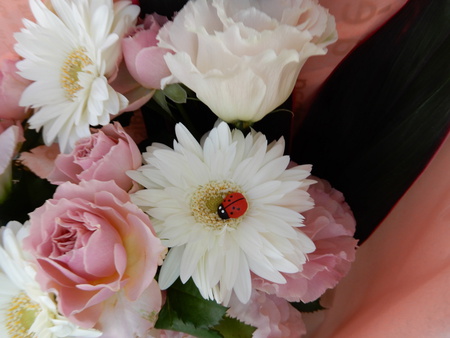 イーアスのお花屋さん「ウィズガーデン」の花束にはテントウ虫が隠れています！